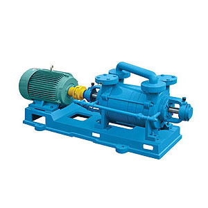 2SK系列水環式真空泵