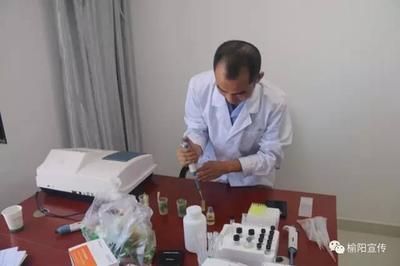 榆陽開展暑期餐飲服務專項檢測，筑牢食品安全防線