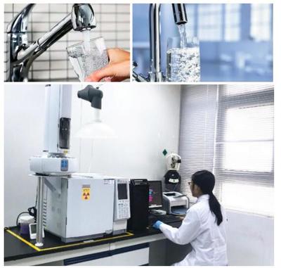 福州MSDS編輯單位與檢測服務 一站式化學品安全管理解決方案